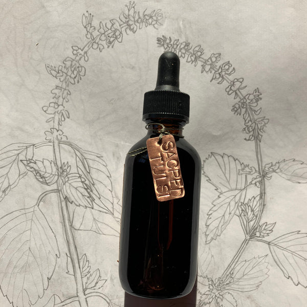 Tulsi Holy Basil Elixir & Glycerite