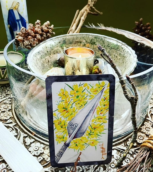 Gorse Flower Essence ~ Hope