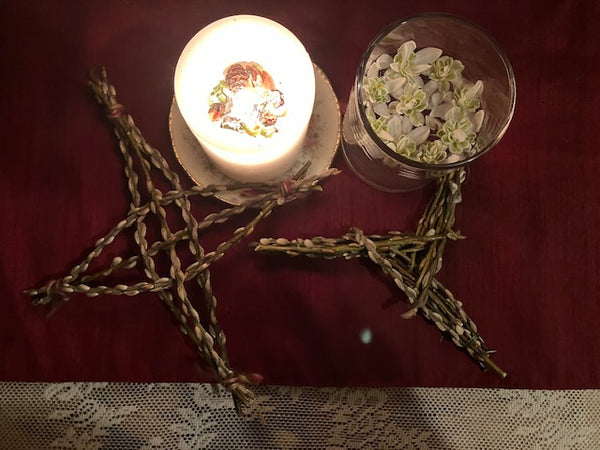 Snowdrop Flower Essence ~ Courage in Transition