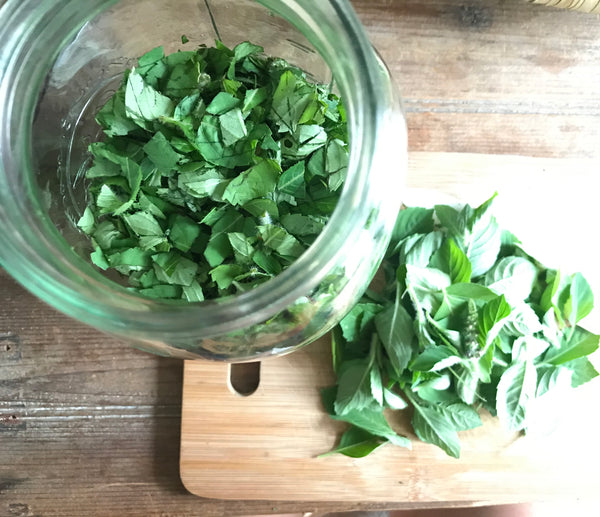 Tulsi Holy Basil Elixir & Glycerite