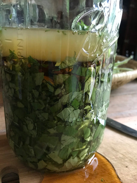 Tulsi Holy Basil Elixir & Glycerite