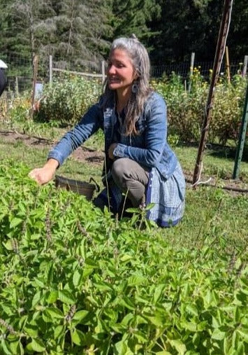 Tulsi Holy Basil Elixir & Glycerite