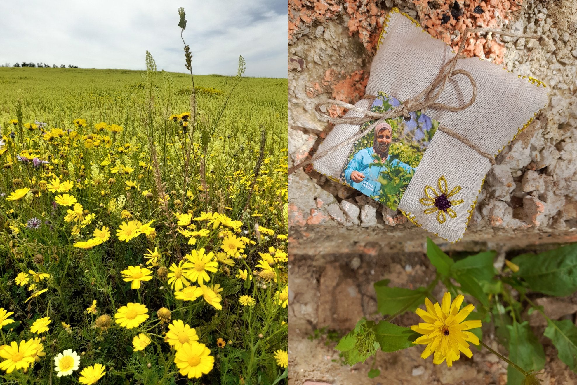 Spring In Morocco